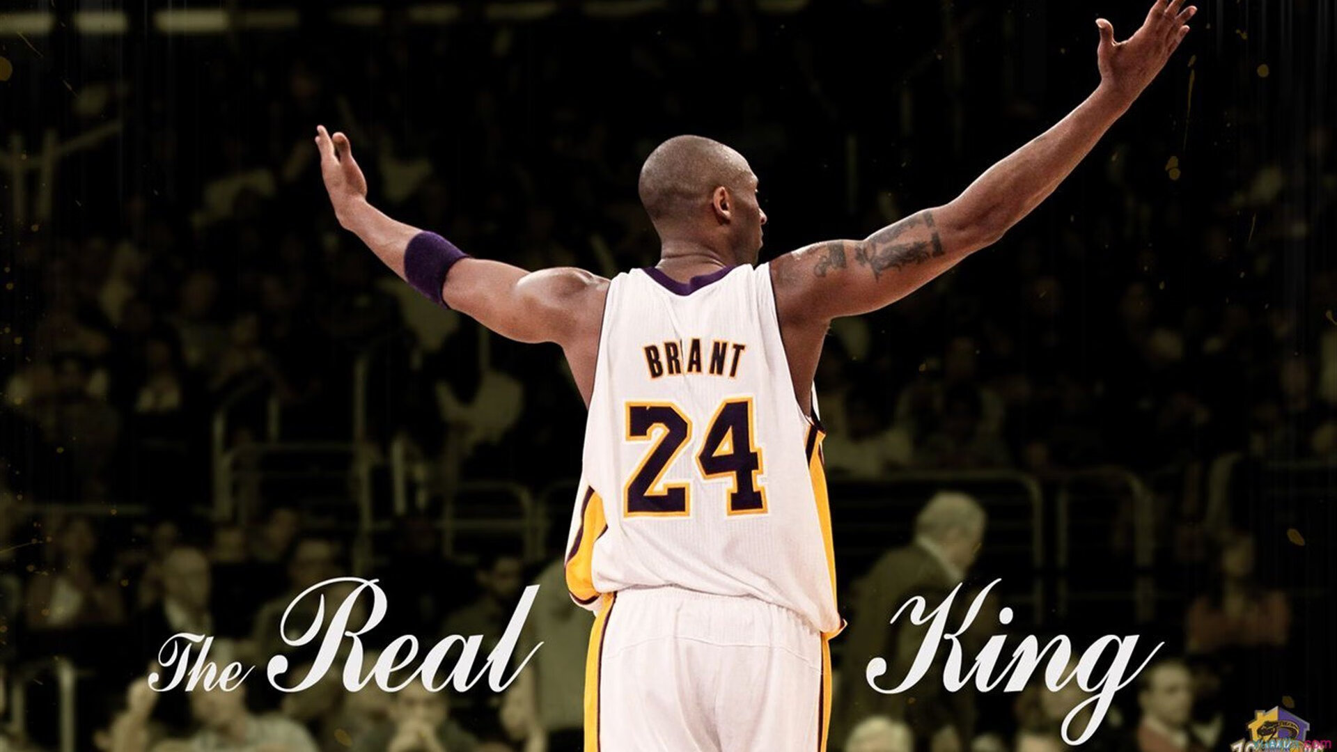 牙买加对阵冰岛，当布雷默的纪录撞碎维京战吼